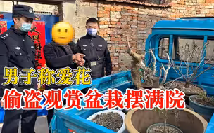 男子称爱花偷盗观赏盆栽摆满院，民警无人机高空侦查后一举抓获