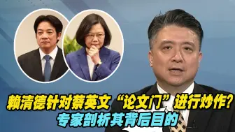 赖清德故意针对蔡英文“论文门”进行炒作？专家剖析其背后目的