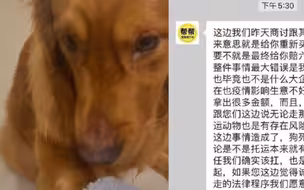 宠物托运机构“收空运钱走陆运”致金毛犬中暑死亡 市监部门介入