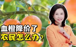 聚焦三农丨血橙降价了 农民怎么办？