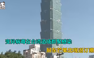 变异病毒在台湾造成群聚感染，屏东芒果出现退订潮