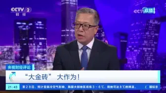 刘戈：推动本币结算 改革国际金融框架