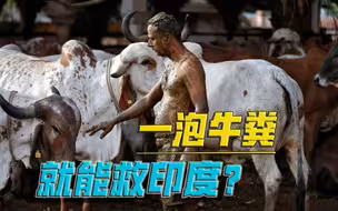 疫情、经济，双管齐下！高官突发奇想，印度找到“特效药”了？