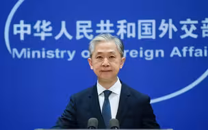 汪文斌：青蒿素挽救了全球特别是发展中国家数百万人的生命