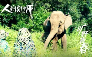 “象设”崩塌！3个90后姑娘火速救场