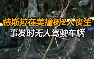 特斯拉在美国撞树起火致2人丧生，警方证实事发时无人驾驶车辆