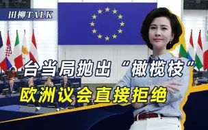 涉台会议上，欧盟拒与台“签经济协议”，并让台当局尽快死心