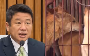 韩国年内将立法禁食狗肉 从2027年开始正式实施