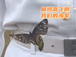 刚采访完，蝴蝶落在海军小姐姐身上