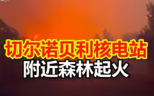 切尔诺贝利核电站附近森林起火 当地消防部门派出16人参与灭火
