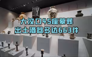 大汶口45座墓葬出土酒器多达663件