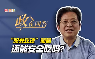 政在回答 丨“阳光玫瑰”葡萄还能安全吃吗？