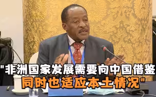 坦桑尼亚教授：非洲国家发展需要向中国借鉴，同时也适应本土情况