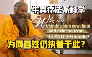 印度医生痛斥牛粪疗法不科学，为何百姓仍执着于此？