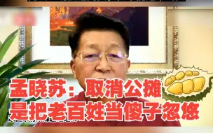 孟晓苏：取消公摊是把老百姓当傻子忽悠，最后都是买家出钱，对此，你怎么看？