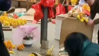 宁愿摧毁也不愿贱卖？鲜花销售接近尾声，花商砸烂滞销年花