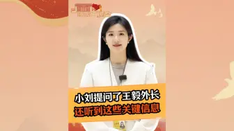 小刘提问了王毅外长，还听到这些关键信息
