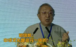郑培凯：中华文化是多元一体的！