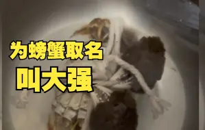 一只螃蟹的自我救赎！螃蟹上餐桌前成功解绳“自救”，男子守诺放生