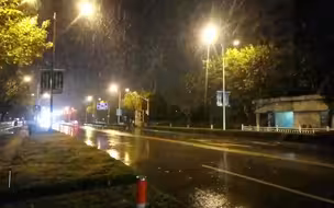 上海下雪啦！市民纷纷记录动人雪景：太兴奋了
