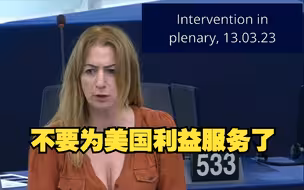 欧洲议会议员谈欧盟如何增强国际影响力: 不要再为美国利益服务了！