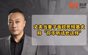 丈夫当妻子面砍死柯基犬 称“你不听话也这样”