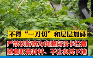 严禁以防疫为由，不让农民下地