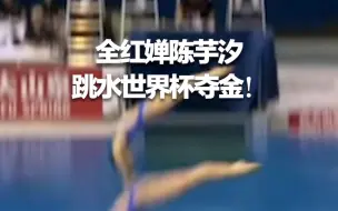 全红婵陈芋汐跳水世界杯夺金 两人实现奥运会、世锦赛和世界杯的金牌大满贯！