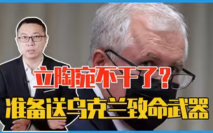 美英不出兵，立陶宛不干了？准备送乌克兰致命武器，发誓夺回失地