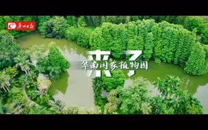 全球一流，就在广州！华南国家植物园来了！