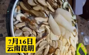 广东人来云南旅游，吃野生菌看见服务员留样：是怕中毒去医院所以留底吗？