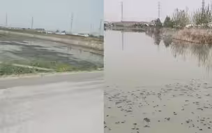 石家庄百亩农田被指遭污水连年淹没 当地回应：生活污水管道破裂