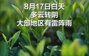 早安北京｜8月17日大部地区有雷阵雨，最高气温33℃，限号1和6