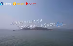 【信仰的力量】95后成霞浦数字化养鱼第一人