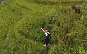 明明是梯田漫步 为什么会有走在龙鳞上的感觉？
