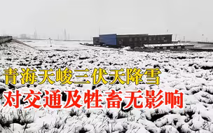 青海天峻三伏天降雪