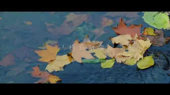 梧桐雨落莫干山，深秋时分，来德清探一把秋？