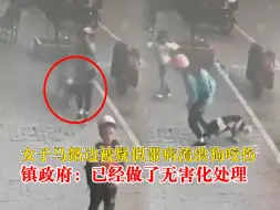 女子马路边被疑似带病流浪狗咬伤，镇政府：已经做了无害化处理