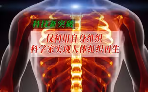 仅利用自身组织，科学家实现人体组织再生