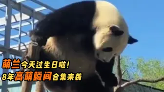 萌兰今天过生日啦！8年高萌瞬间合集来袭