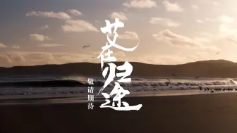 认祖归宗，刻在中国人骨子里的信念，但他们的回家之路为何格外漫长