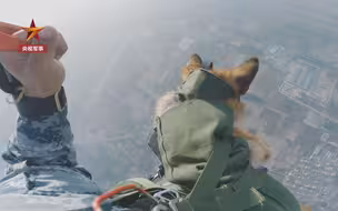 狗狗都上天了！空降犬跟兵哥哥高空跳伞