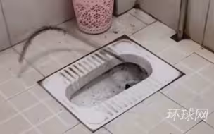 画风诡异！厕所突然钻出一截管子剧烈扭动，老板吓一跳：像电影里的异形