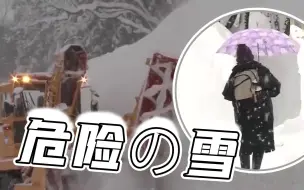 罕见暴雪！日本局部积雪厚度超2米！至少10人死亡 近300人受伤