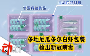 多地厄瓜多尔冷冻白虾外包装上检测出新冠病毒 采购时如何防范？