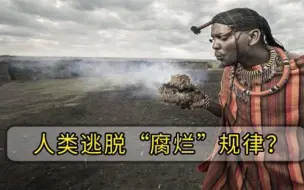 人类逃脱生态循环火化是在浪费专家腐烂规律已被破坏
