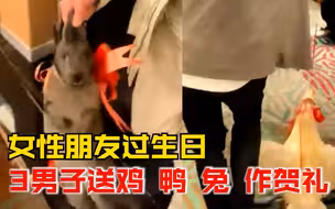 朋友生日宴3男子拎鸡鸭兔作贺礼：开始很害怕，后来接受放生了