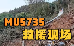 MU5735救援最新情况汇总
