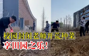 校园封闭老师开荒种菜享田园之乐：有生菜油菜冬瓜等等