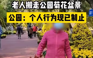 老人成群结队搬走公园菊花盆景 公园回应：个人行为已制止